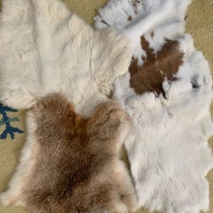 Set of 4 rabbit pelts